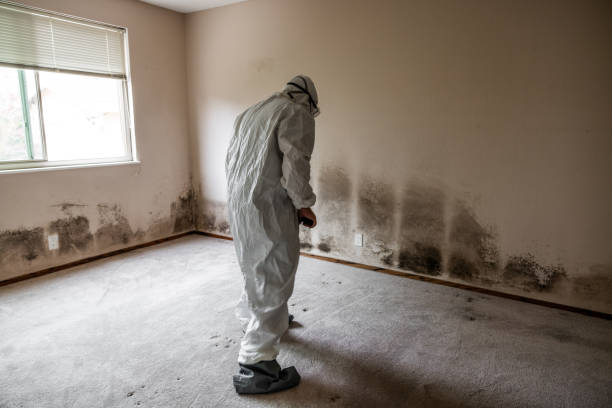 Best Mold Remediation for Healthcare Facilities  in Water Valley, MS